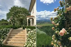 Villa Rose delle Inglesi | Majestic Luxury Villa | - Image 5