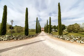 Villa Rose delle Inglesi | Majestic Luxury Villa | - Image 2