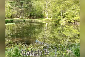 Rural living near Raystown Lake & Hiking Trails - Image 5