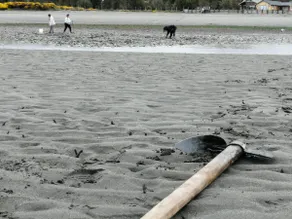 cabin, beach, kayak and tinaja - Image 3