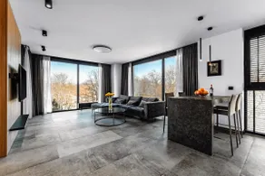 PLATINUM RESIDENCE & SPA BASEN/Sauna ”BEST VIEW” - Image 2