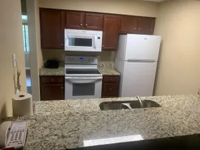 Minutes to Busch Gardens! Gorgeous 2BDR/2BA (6) - Image 3