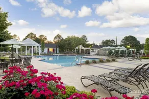 Minutes to Busch Gardens! Gorgeous 2BDR/2BA (6) - Image 5