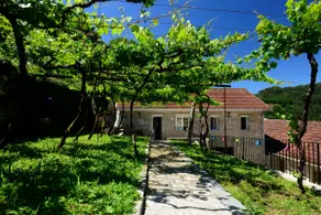 QUINTA DO SOUTO - RURAL HOUSE WITH POOL AND JACUZZI - Image 2