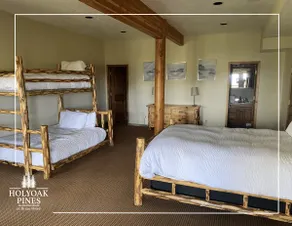 Holyoak Pines Cabin, Views Galore, Spacious Luxury - Image 4