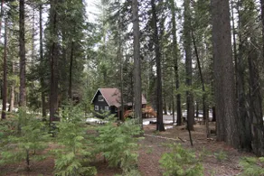 The Sugar Pine Chalet - Image 3