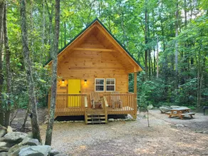 Laurel Haven: Modern Cabin Retreat near Gatlinburg - Image 5
