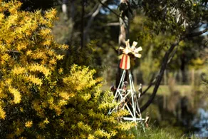 ” A Suite Escape” In the heart of the Bellarine. - Image 5