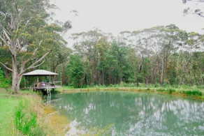 True North - 4BR Bilpin Bush Retreat - Image 2