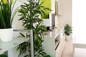 Modern OscVict Apartment in Murcia - Image 2