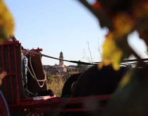 Rural getaway in Nulles, near Tarragona - Image 3