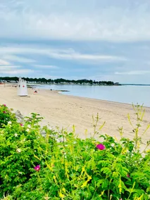 Seaside Cottage: water views, walk to beaches! - Image 5