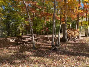 Cozy 2BR Cabin Forest View + Trails, Cave Run Lake - Image 4