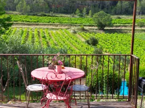 Le Figuier charming private gîte with swimming pool 30' Verdon - Image 2