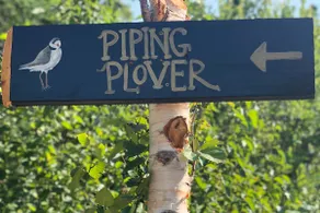 The Piping Plover - a luxury, waterfront home - Image 2