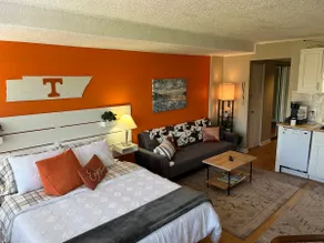 Renovated Studio Condo- Walk to strip, UT, Neyland - Image 5