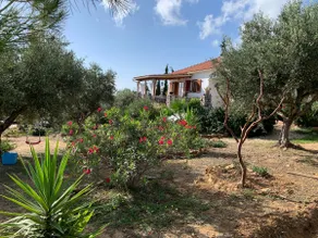 Vacation home Barba Sebi - Image 5