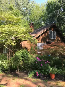 Mosshorn Cabin - Image 2