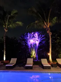 Unique Tropical Paradise! Heated Pool & Tiki Bar - Image 5
