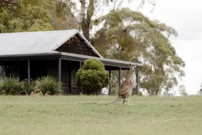 Palmers Lane Estate 5BR - Pokolbin Hunter Valley - Image 2