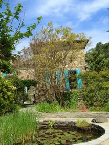 Mas en Cévennes: Freedom and Friendliness - Image 3