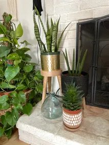 Beach Bungalow - Image 5