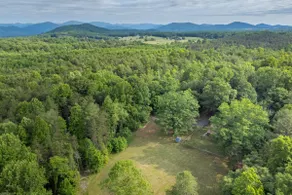 Relaxing 2BR CABIN, 12 acres, dog friendly, hiking - Image 5