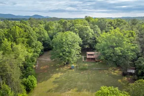 Relaxing 2BR CABIN, 12 acres, dog friendly, hiking - Image 2