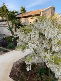 Masseria San Pietro, country house - Image 4