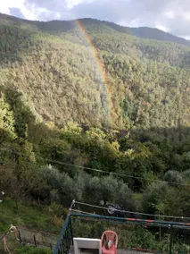 IL NIDO VERDE - Image 3