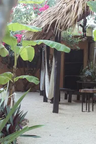 Jungla Bacalar, Casa Guacamayo 5th av Near Laguna - Image 5