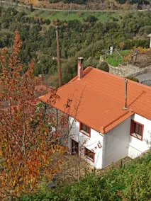 Magnolia Traditional Stone House in Vamvakou - Image 4