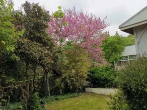 Luxury Apartment & Garden – 5km to Roland-Garros - Image 5