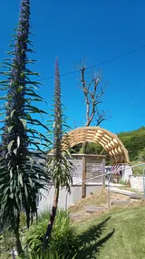 Echium Heights, 4 bed retreat, secluded with views - Image 5