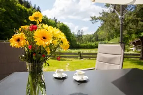 Entire house with large garden and private sauna - Image 2