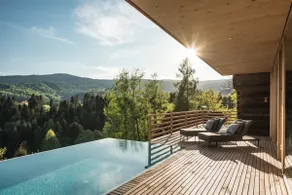 Kellerstöckl with heated pool and panoramic sauna - Image 2