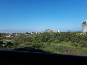 Between dunes and sea - Image 2