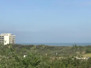 Between dunes and sea - Image 5