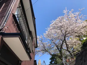 Experience Shimoda-style at Miharashi-tei, a house with an excellent view that allows you to ”stay as if you lived there”. - Image 3