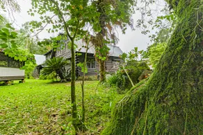Five bedroom log cabin near Waipi'o Valley - Image 2