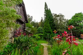 Five bedroom log cabin near Waipi'o Valley - Image 5