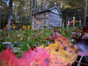 Pre-Civil War Log Cabin w Sauna, Hot tub & Firepit - Image 2