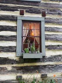 Pre-Civil War Log Cabin w Sauna, Hot tub & Firepit - Image 5