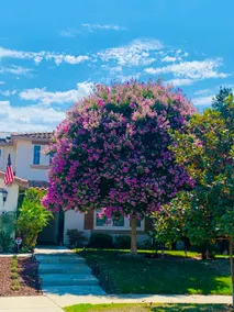 6 bedroom home with heated Pool/Spa near Sequoia National Park - Image 4