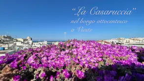 La Casaruccia - Image 2