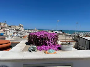 La Casaruccia - Image 3