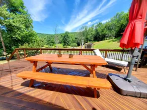 Arcade|Music|BBQ|Fire Pit|Acres|Batavia House! - Image 3