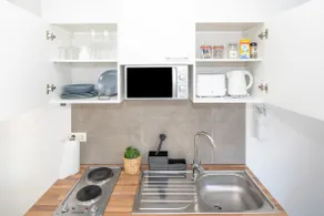 Nibelungen Apartments / 1 room with large terrace - Image 4