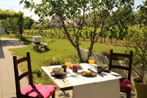 Riesling cottage for 2 to 8 people, ideal for families,  - Image 4