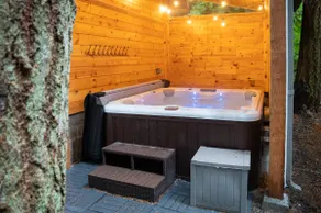 Mt. Rainier Getaway - Image 2